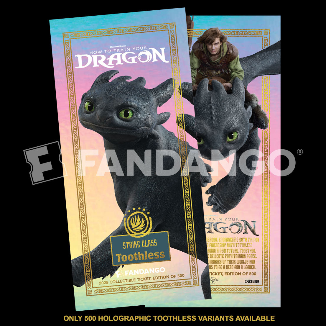 How To Train Your Dragon Printed Ticket